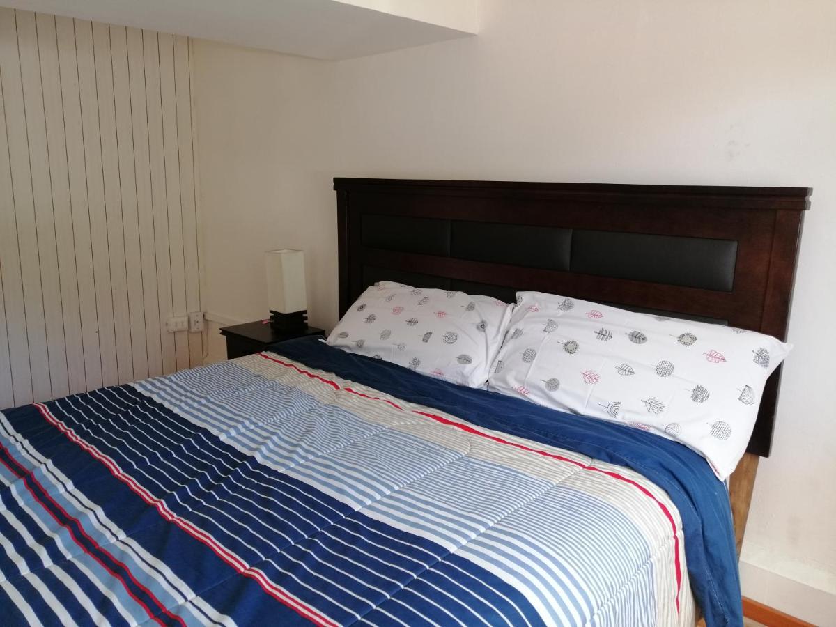 Wild Santiago Hostel Zewnętrze zdjęcie