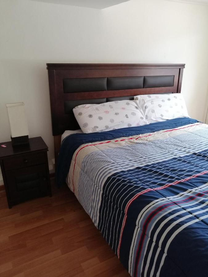 Wild Santiago Hostel Zewnętrze zdjęcie